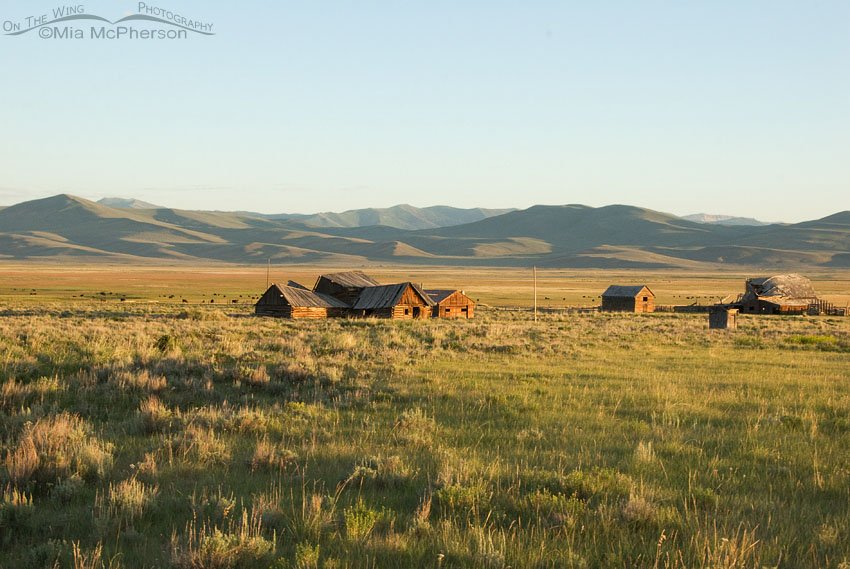 Old Barn in the Centennial Valley, Montana, Beaverhead County