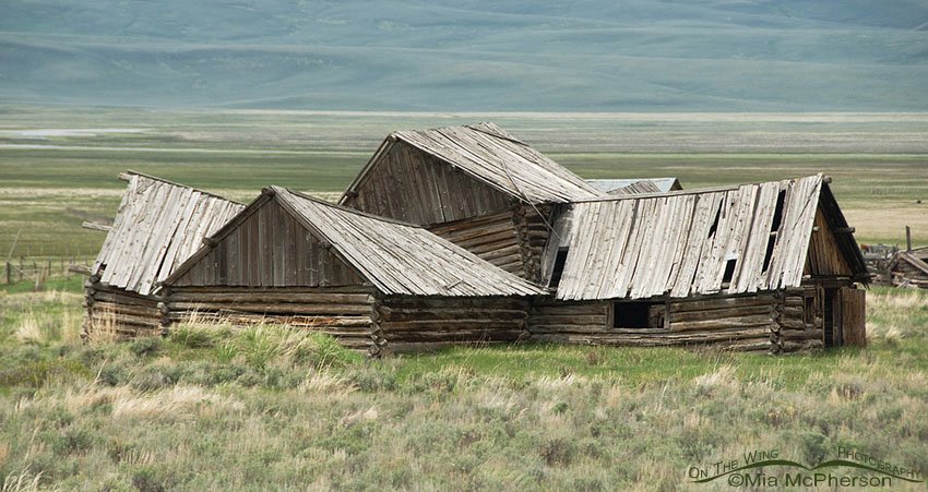 Old barn on the way to Red Rock Lakes National Wildlife Refuge, Centennial Valley, Beaverhead County, Montana