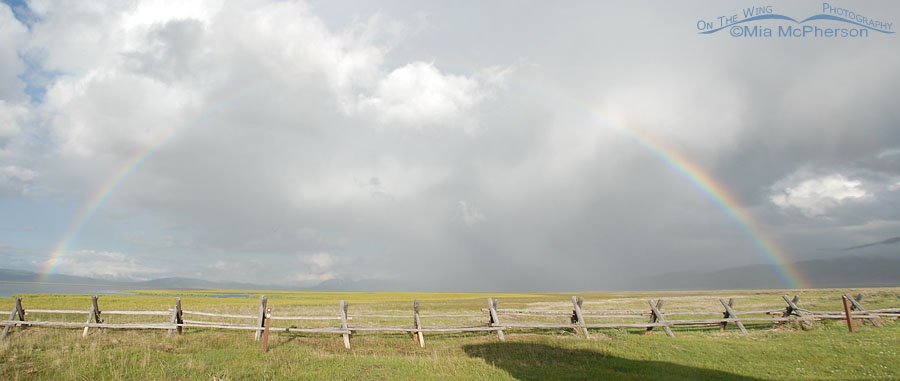 Rainbow over Red Rock Lakes National Wildlife Refuge from the Lower Lake, Centennial Valley, Beaverhead County, Montana