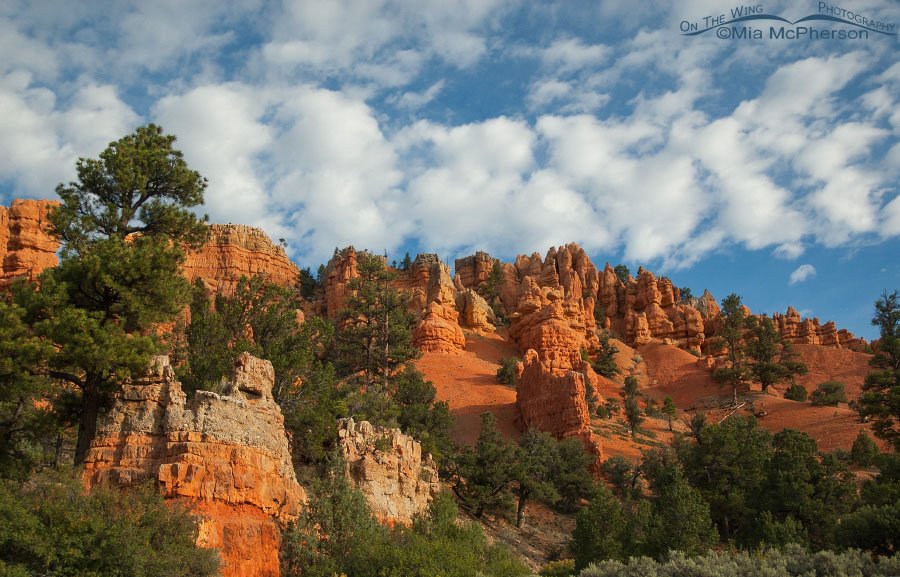 Red Canyon and beautiful clouds at the end of summer, Dixie National Forest, Garfield County, Utah