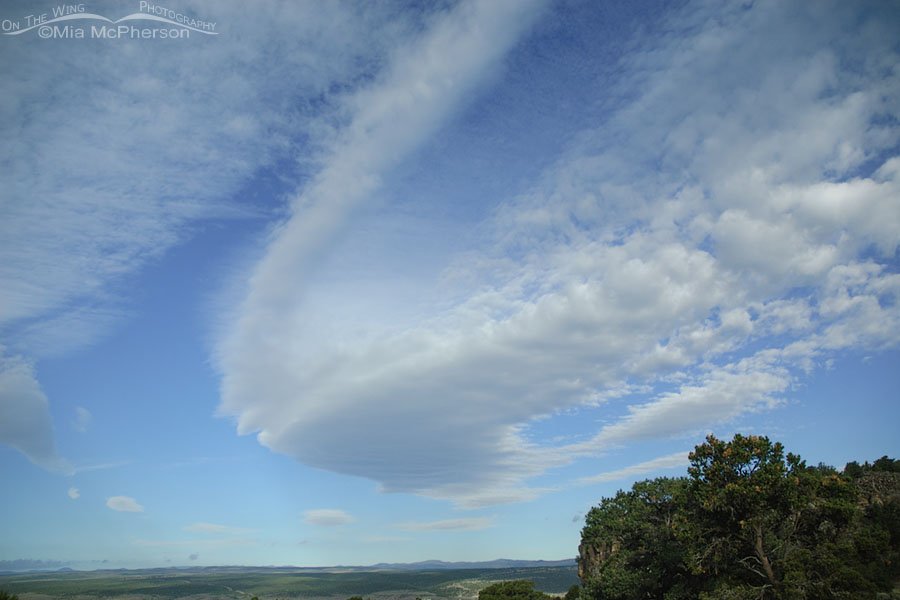 Cloud wave near Red Canyon, Utah, Dixie National Forest, Garfield County
