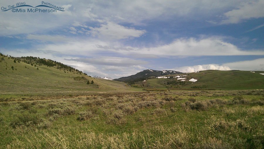 Grand view from Red Rock Lakes NWR, facing east, Red Rock Lakes National Wildlife Refuge, Centennial Valley, Beaverhead County, Montana