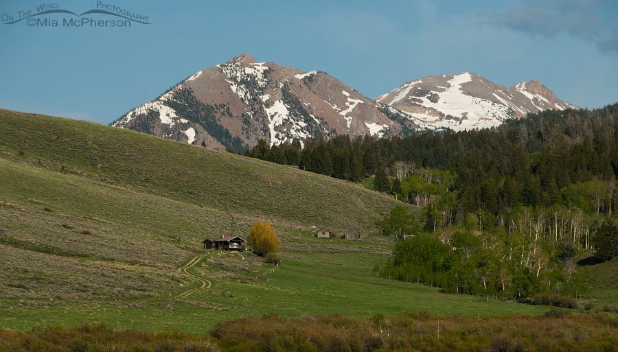 I could live here at Red Rock Lakes NWR, Red Rock Lakes National Wildlife Refuge, Centennial Valley, Beaverhead County, Montana