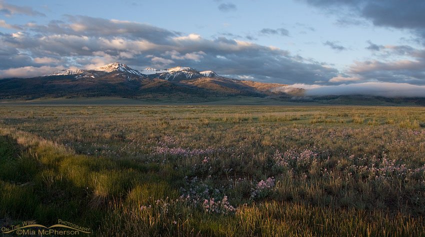 Red Rock Lakes National Wildlife Refuge in spring, Centennial Valley, Beaverhead County, Montana