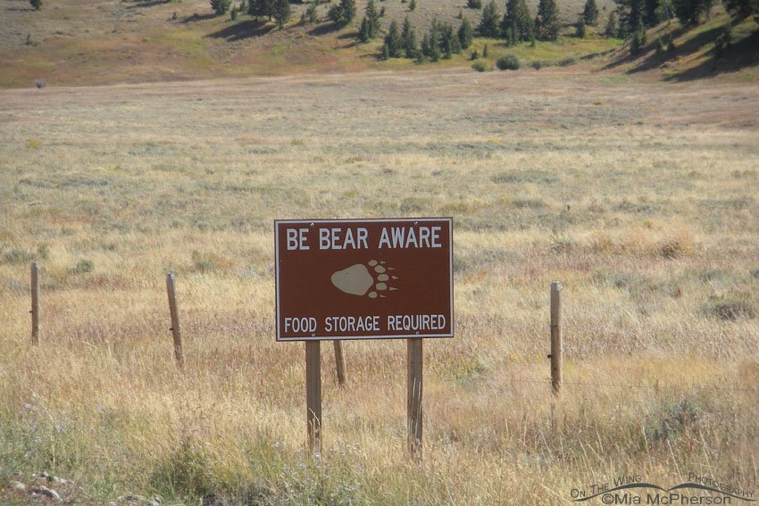 Be Bear Aware sign for Red Rock Lakes National Wildlife Refuge, Beaverhead County, Montana