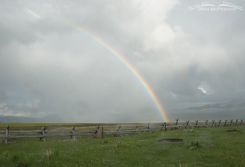 Rainbow and clearing storm at Red Rock Lakes NWR, Centennial Valley, Beaverhead County, Montana