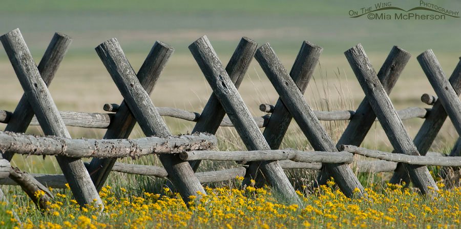 Red Rock Lakes NWR campground fence, Centennial Valley, Beaverhead County, Montana