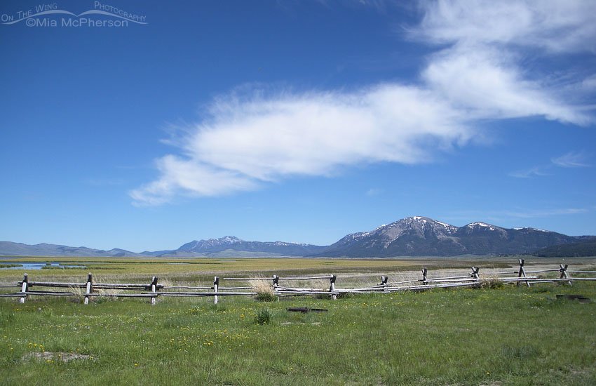 Red Rock Lakes NWR lower campground, Centennial Valley, Beaverhead County, Montana