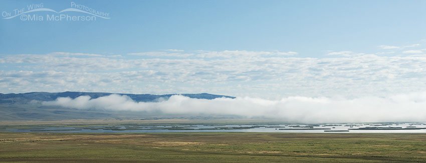 Morning mist over the Lower Lake at Red Rock Lakes National Wildlife Refuge, Centennial Valley, Beaverhead County, Montana