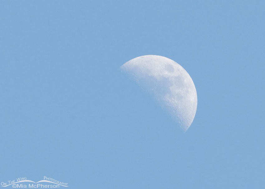 Moon over Red Rock Lakes NWR, Centennial Valley, Beaverhead County, Montana