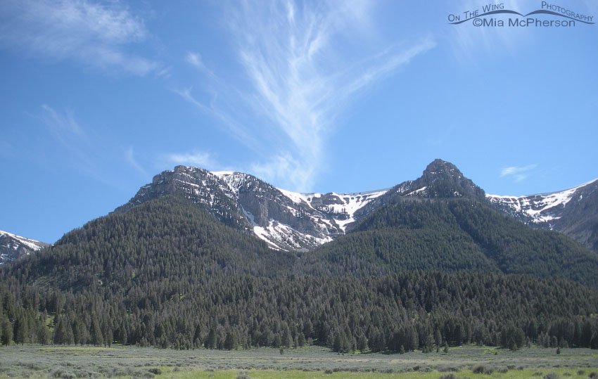View of Centennial Mountains from Upper Red Rock Lake,Red Rock Lakes National Wildlife Refuge, Centennial Valley, Beaverhead County, Montana