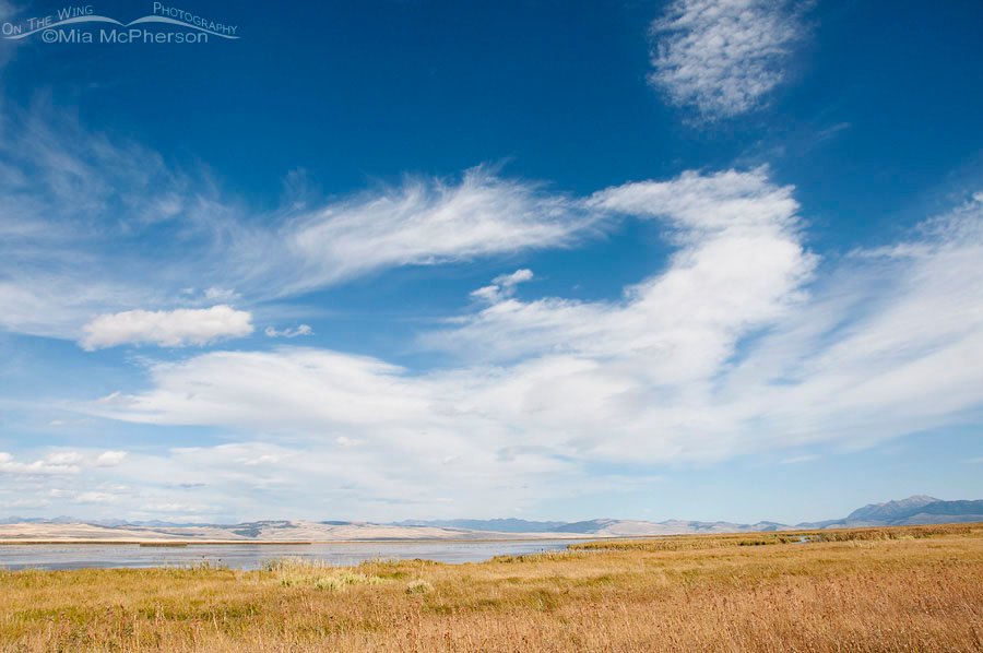 Lovely Afternoon at Red Rock Lakes National Wildlife Refuge, Centennial Valley, Beaverhead County, Montana