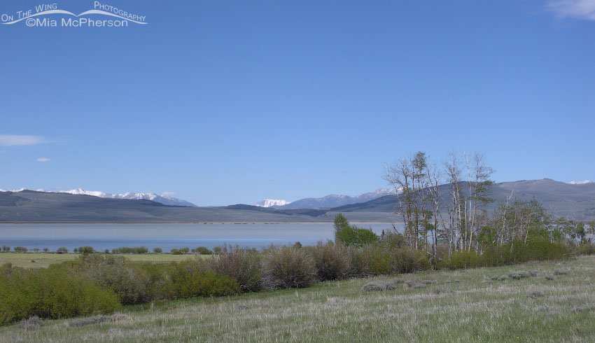 Red Rock Lakes NWR upper lake view, Centennial Valley, Beaverhead County, Montana