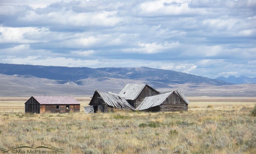 Tumbled down old barn on the way to Red Rock Lakes NWR, Centennial Valley, Beaverhead County, Montana