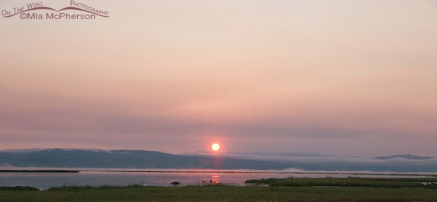 Red Rock Lakes National Wildlife Refuge rosy dawn, Centennial Valley, Beaverhead County, Montana