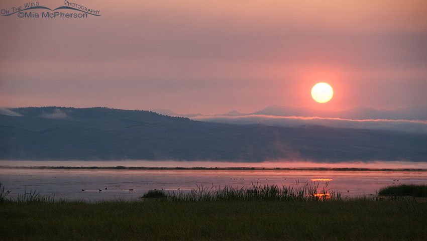 Smokey sunrise over the Lower Lake, Red Rock Lakes NWR at Red Rock Lakes NWR, Centennial Valley, Beaverhead County, Montana