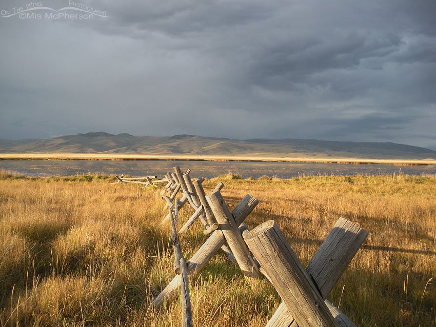 Sunlit fence at the lower campground of Red Rock Lakes NWR, Centennial Valley, Beaverhead County, Montana