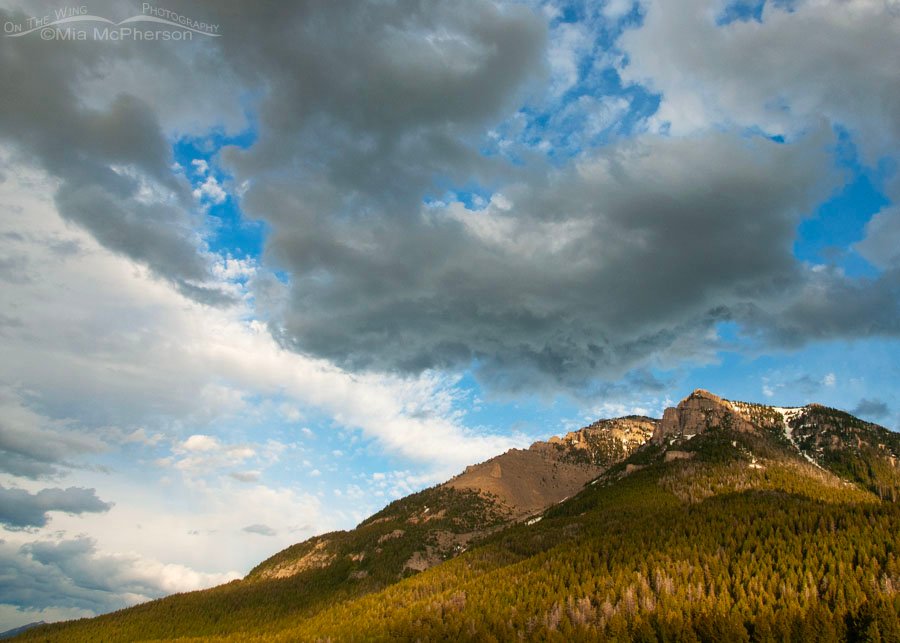 Sunlight, clouds, and shadows over Red Rock Lakes NWR, Red Rock Lakes National Wildlife Refuge, Centennial Valley, Beaverhead County, Montana