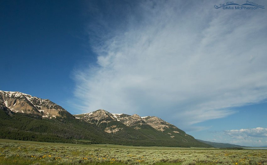 Blue skies at Red Rock Lakes National Wildlife Refuge, Centennial Valley, Beaverhead County, Montana