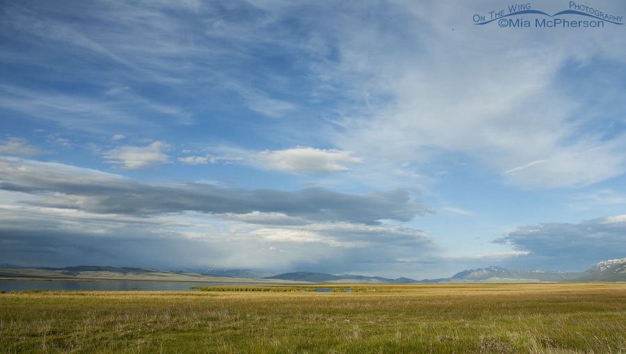 Red Rock Lakes NWR and an expansive sky, Red Rock Lakes National Wildlife Refuge, Centennial Valley, Beaverhead County, Montana