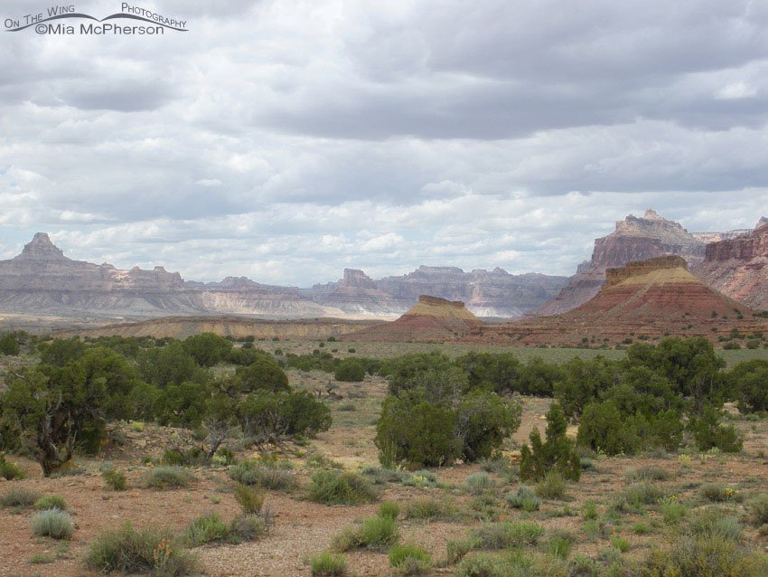 The San Rafael Swell area is a unique geological treasure, Emery County, Utah