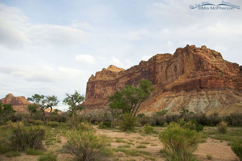 San Rafael Swell campground, San Rafael Swell, Emery County, Utah