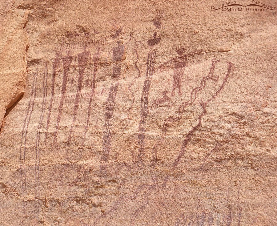 Human figures and sheep pictographs at Buckhorn Wash, San Rafael Swell, Emery County, Utah