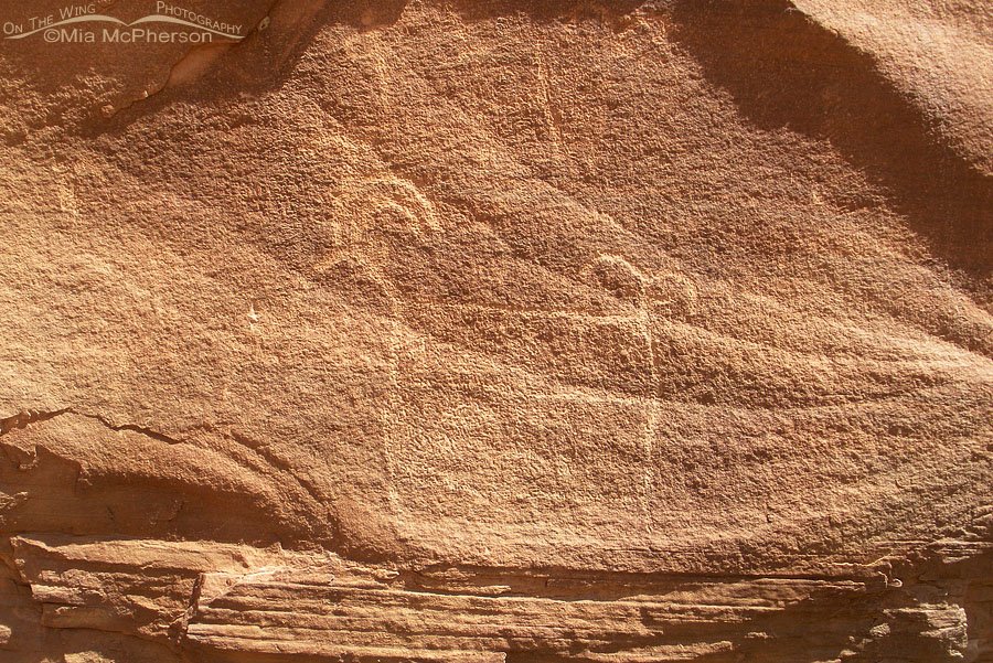Buckhorn Panel Sheep Petroglyph, San Rafael Swell, Emery County, Utah
