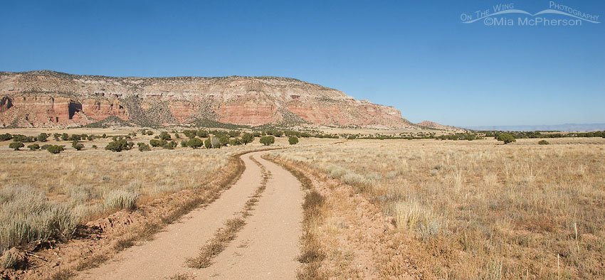 Dirt road within the San Rafael Swell, Emery County, Utah