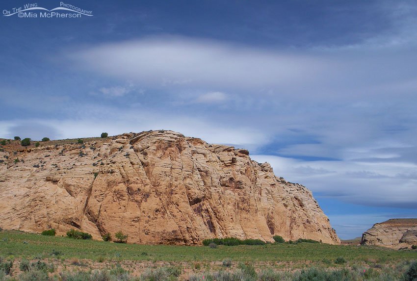 Exposed petrified sand dunes, San Rafael Swell, Emery County, Utah