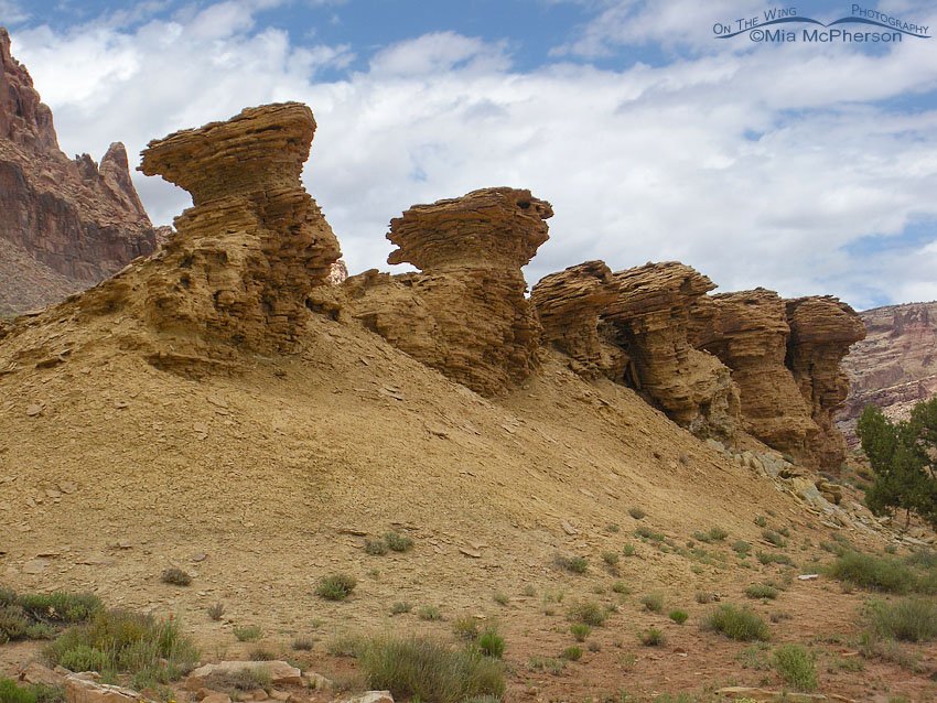 San Rafael Swell hoodoo rock formations, San Rafael Swell, Emery County, Utah