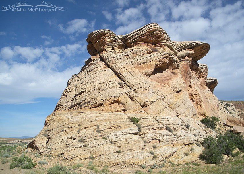 Petrified sand dune in the San Rafael Swell, Emery County, Utah