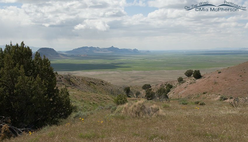 High above Simpson Springs, West Desert, Tooele County, Utah