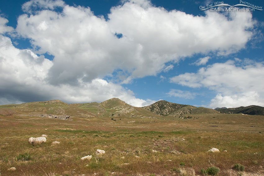 Billowing clouds above Simpson Springs, West Desert, Utah