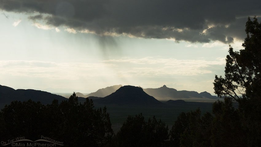 Stormy skies with virga over the valley from the campsite at Simpson Springs, West Desert, Tooele County, Utah
