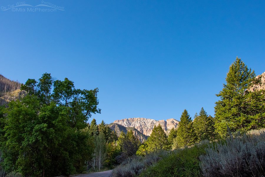 Stansbury Mountain Range view, Stansbury Mountains, West Desert, Tooele County, Utah
