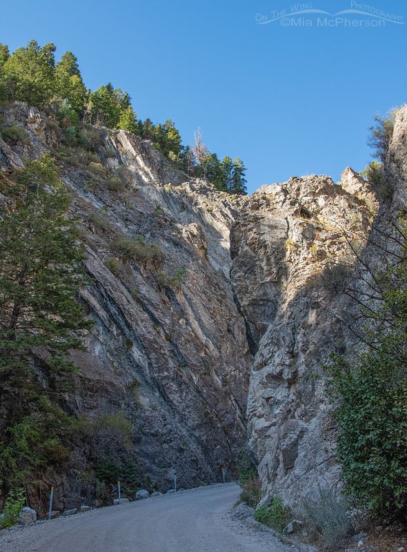 Canyon walls up close, Stansbury Mountains, West Desert, Tooele County, Utah