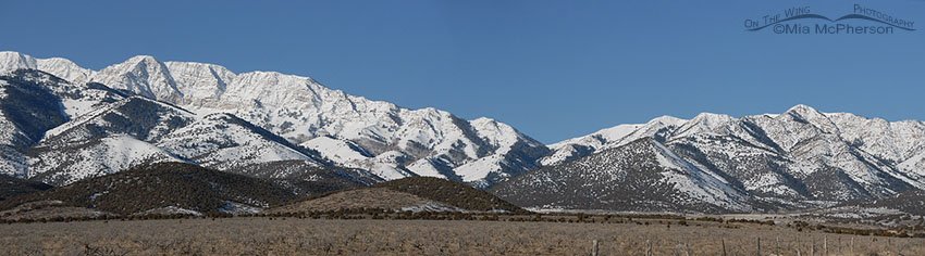 Stansbury Mountain Range Pano, West Desert, Tooele County, Utah