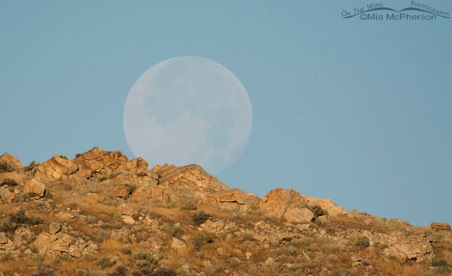 Super Moon - July 13, 2014, Antelope Island State Park, Davis County, Utah