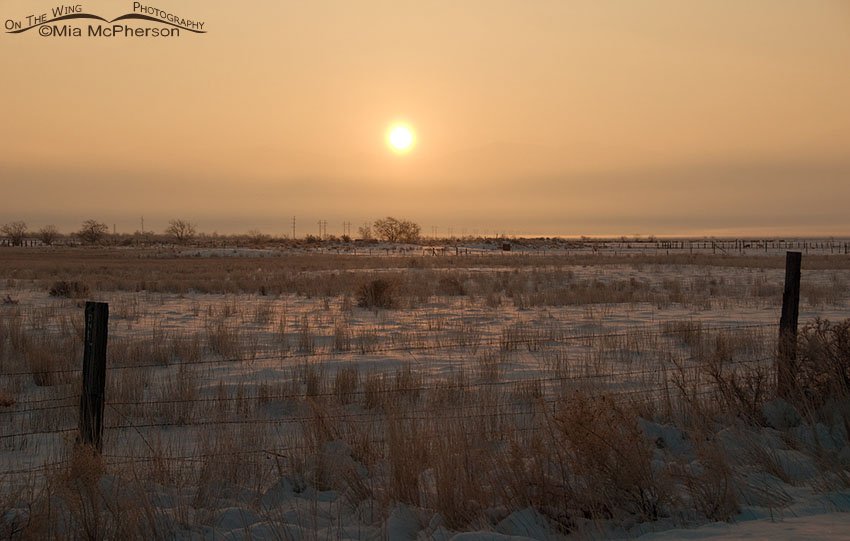 Tooele County - Inversion at sunrise, West Desert, Utah