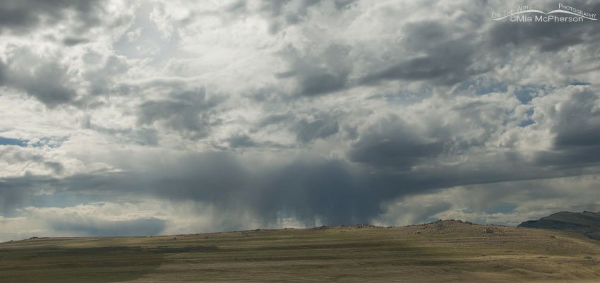 Virga near White Rock Bay, Antelope Island State Park, Davis County, Utah