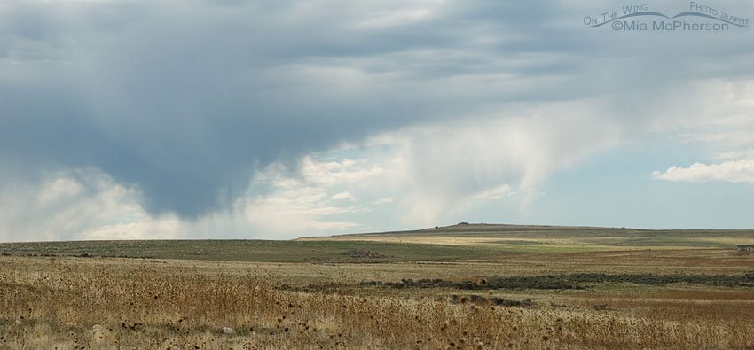 More virga from near the Visitor Center, Antelope Island State Park, Davis County, Utah
