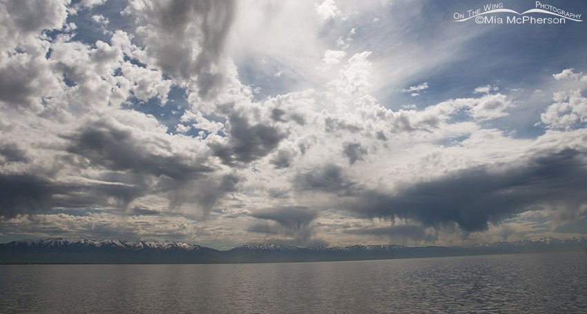 Virga from the causeway after leaving Antelope Island, Antelope Island State Park, Davis County, Utah