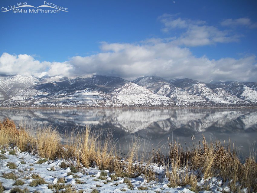 Snow covered Wasatch Range view from Farmington Bay, Utah