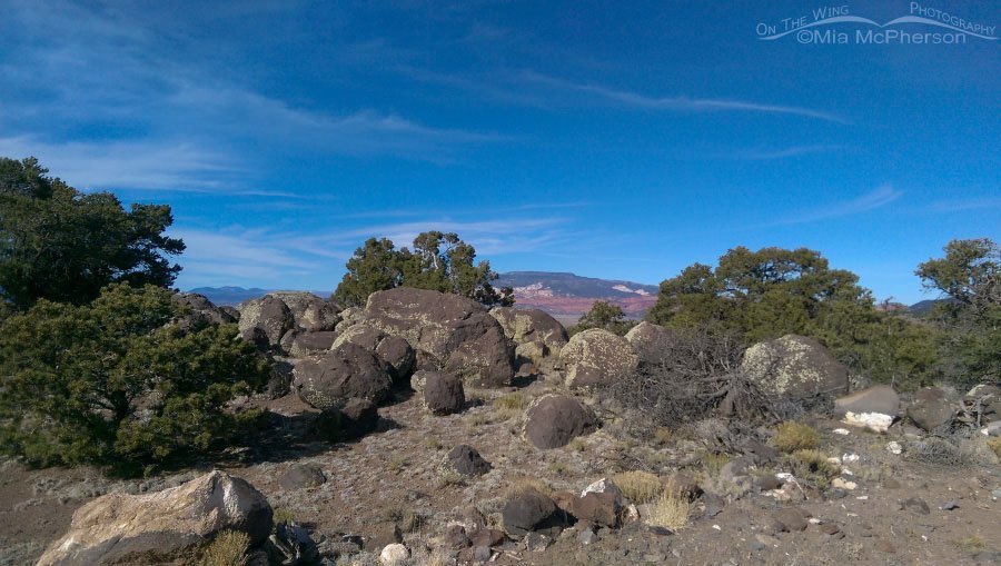 Going up to Boulder Top, Wayne County, Utah
