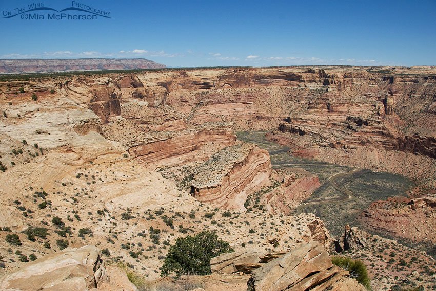 View from the top of The Wedge on a clear spring day, San Rafael Swell, Emery County, Utah