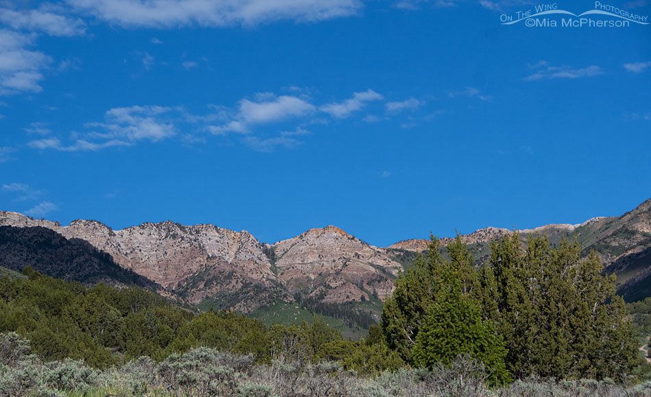 West Desert mountain range view, West Desert, Tooele County, Utah