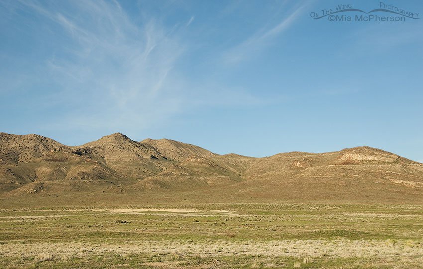 Way out in the West Desert of Utah, Tooele or Juab County