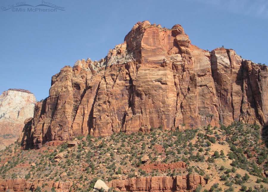 Spring view of Zion National Park, Utah