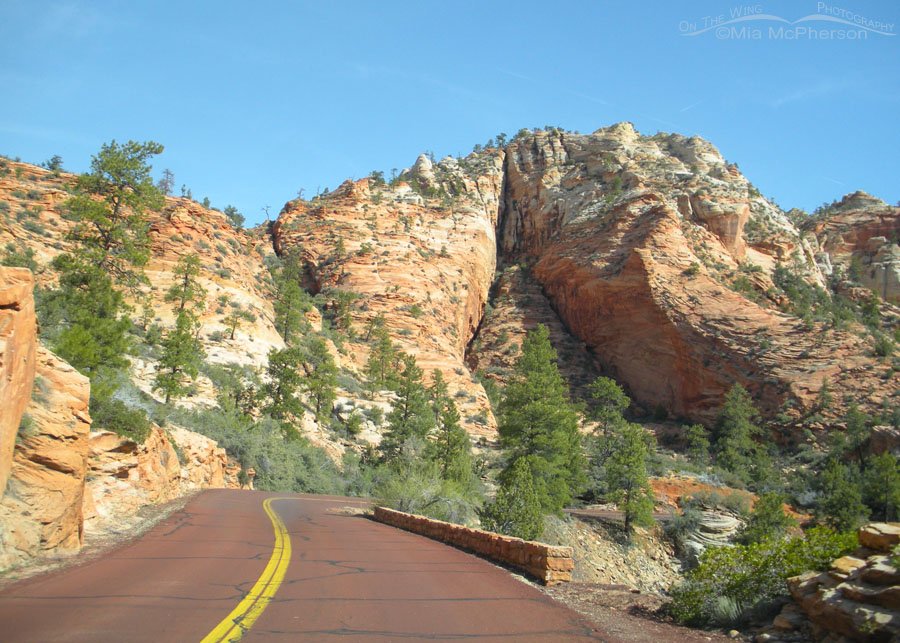 Road through Zion National Park, Utah